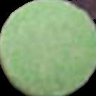 Sweet Baby sample 345