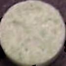 Clover sample 356