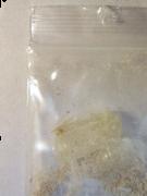 Venice Beach Molly sample 3822
