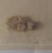 5-MAPB sample 3827