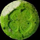 Green Leaf pill — lab-tested sample