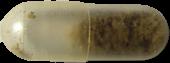Pure MDMA sample 3929