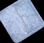 Quadrat sample 3955