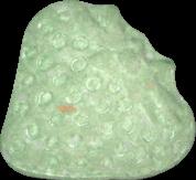 Erdbeere sample 3958