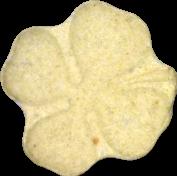 Kleeblatt sample 4017