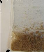 Sass MDA sample 4106