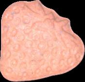Erdbeere sample 4149