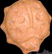 Marienkäfer sample 4160