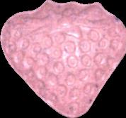 Erdbeere sample 4187