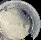 Molly / MDMA sample 4205