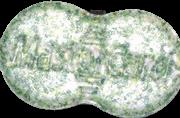 Mastercard sample 4251