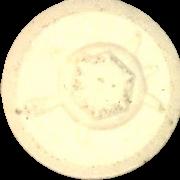 Schildkröte sample 4252