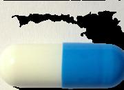 LionHGH sample 4266