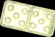 Domino-Stein sample 4461