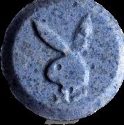Playboy sample 4531