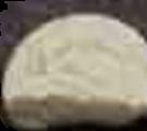 Euro sample 459