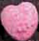 Heart sample 462