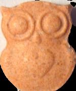 Orange Owl sample 4637