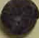 Brownie sample 469