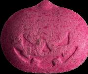 Kürbis sample 4723