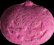 Kuerbis sample 4803