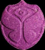 Tomorrowland sample 4806