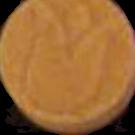 Tulip sample 480