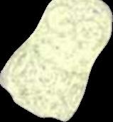Minion 2 pill — lab-tested sample