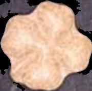 Kleeblatt sample 4818