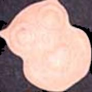 Eule 1 sample 4821