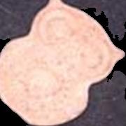 Eule 2 sample 4839