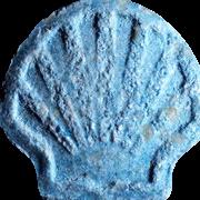 Shell sample 4936