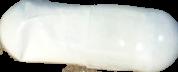 Pentobarbital Sodium sample 5019