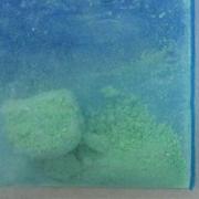 Green Anonymous sample 5055