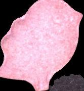Vogel sample 5114
