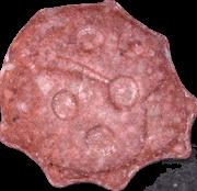 Marienkäfer sample 5119