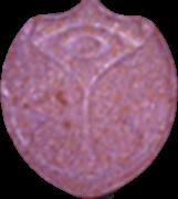 Tomorrowland sample 5128