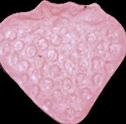 Erdbeere sample 5165