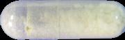 Alp sample 5194