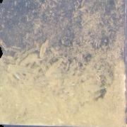 Hexen sample 5219