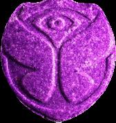 Tomorrowland sample 5257