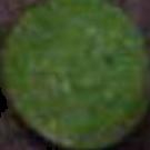 Green & Green sample 530