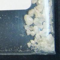 Deschloroketamine lab-tested pill