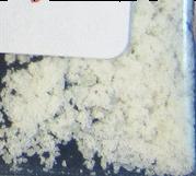 Deschloroketamine sample 5361