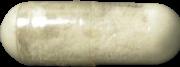 Holland Molly sample 5415