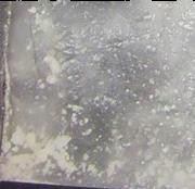 6-APB sample 5450