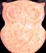Eule sample 5491