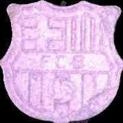FC Barcelona sample 5494