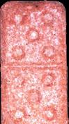 Domino 5x5 sample 5497