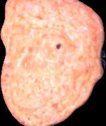 Trump sample 5528
